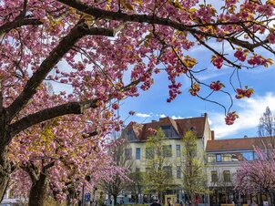 Tavaszi szünet Veszprémben és a Bakony-Balaton régióban – gyűjts élményeket minden napra! 